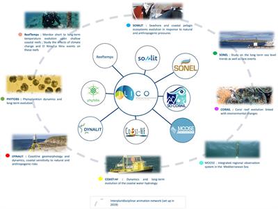 Coastal Ocean and Nearshore Observation: A French Case Study